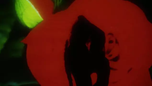 Muzikaal pornofilmpje met de betoverende Leolulu